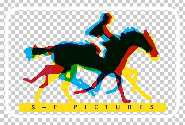 Mustang Pony Equestrian Stallion Soureh Film Club PNG, Clipart, Equestrian, Equestrian Sport, Fictional Character, Horse, Horse Like Mammal Free PNG Download