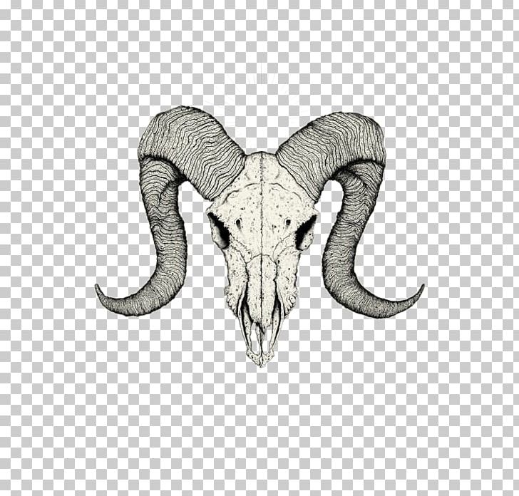 Skull Tattoo Drawing Sketch PNG, Clipart, African Elephant, Animals, Aries, Bone, Cartoon Free PNG Download