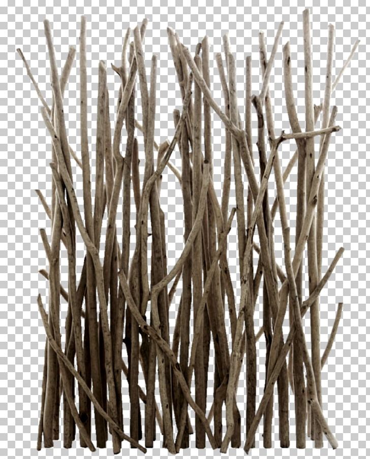Driftwood Branch Folding Screen Tree PNG, Clipart, Bark, Bathroom, Branch, Branches, Decoration Free PNG Download