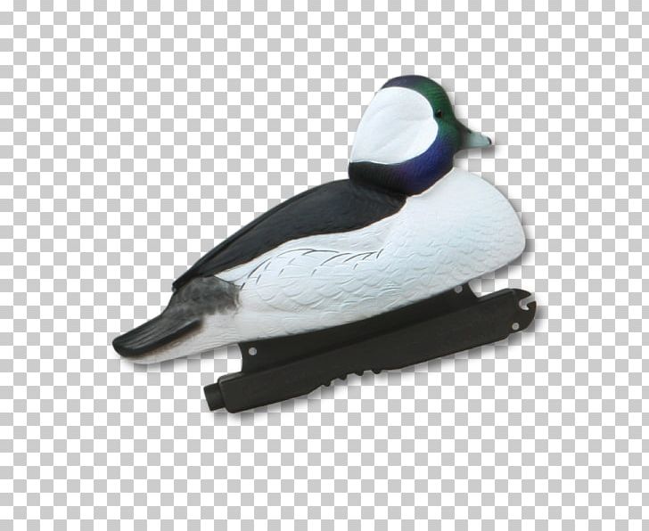 Mallard Duck Waterfowl Hunting Decoy PNG, Clipart, Anatomi, Animals, Anseriformes, Beak, Bird Free PNG Download