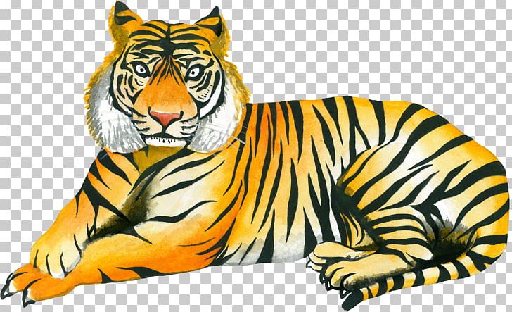 Tiger Cat Whiskers Wildlife Illustration PNG, Clipart, Animal, Animals, Big Cats, Carnivoran, Cartoon Free PNG Download