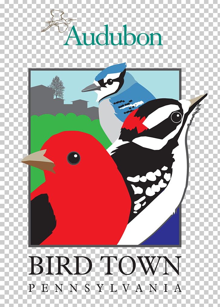 Bird Doylestown Cheltenham Township Mill Grove National Audubon Society PNG, Clipart, Animals, Art, Artwork, Bird, Building Free PNG Download