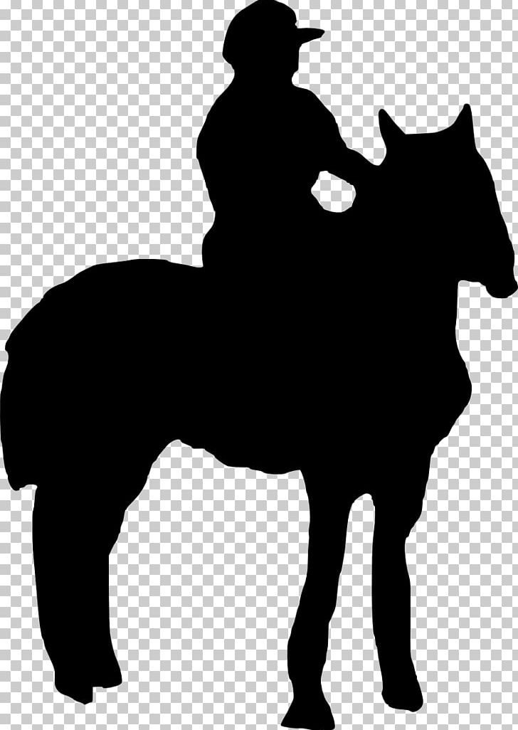 Horse Pony Equestrian Stallion Rein PNG, Clipart, Animals, Black And White, Bridle, Colt, Cowboy Free PNG Download