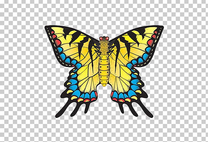 Swallowtail Butterfly Old World Swallowtail Kite Alpine Black Swallowtail Monarch Butterfly PNG, Clipart, Arthropod, Brush Footed Butterfly, Butte, Butterflies, Butterfly Kite Free PNG Download