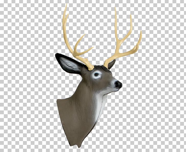 White-tailed Deer Target Archery Shooting Target PNG, Clipart, Animals, Antler, Archery, Arrow, Bow Free PNG Download
