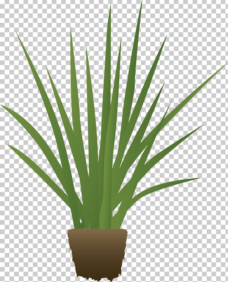 Agave Azul Arecaceae Agave Nectar Emoji Plant Stem PNG, Clipart, Agave, Agave Azul, Agave Nectar, Agr, Aloe Free PNG Download