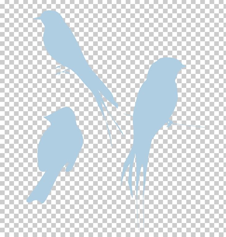 Bird Sparrow PNG, Clipart, Animals, Azure, Beak, Bird, Blue Free PNG Download