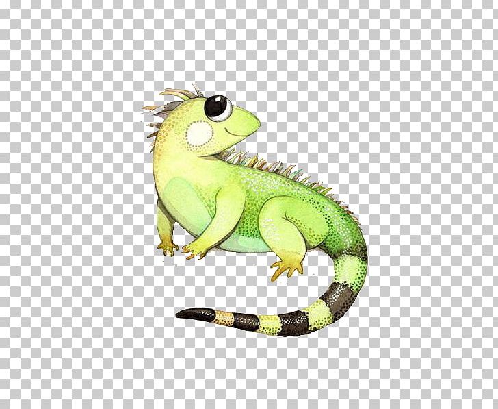 Green Iguana Lizard Drawing Illustration PNG, Clipart, Animal, Animals, Art, Cartoon, Chameleon Free PNG Download
