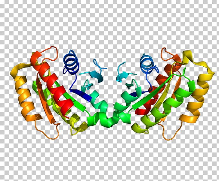 LRRK2 Parkinson's Disease Protein Leucine-rich Repeat Amino Acid PNG, Clipart, Amino Acid, Body Jewelry, Crohns Disease, Disease, Gene Free PNG Download