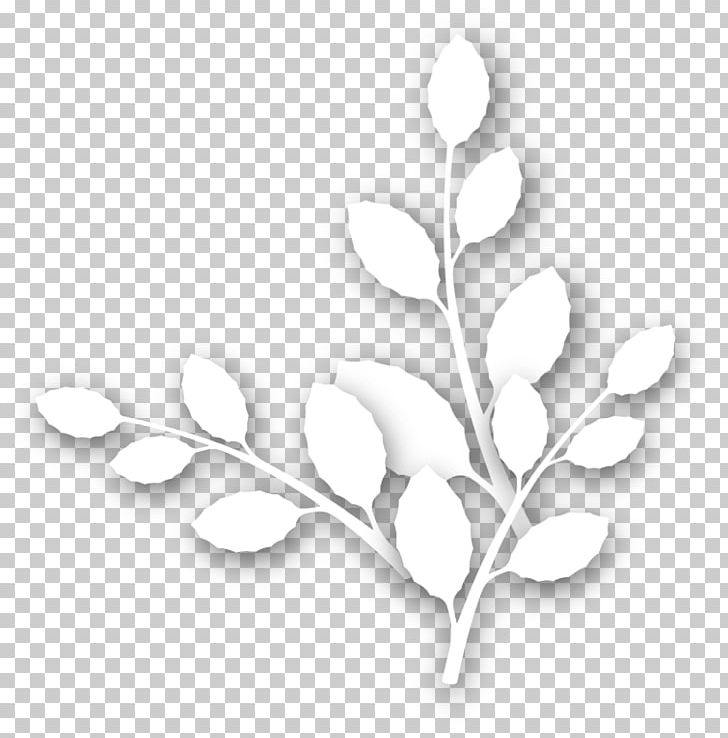 Leaf Petal PNG, Clipart, Beyaz, Black And White, Branch, Cicek, Cicek Desenleri Free PNG Download
