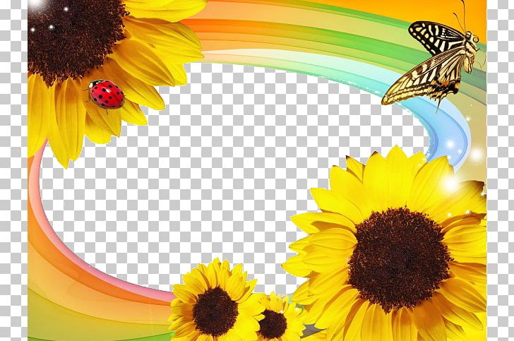Honey Bee Template Frame PNG, Clipart, Computer Wallpaper, Daisy Family, Encapsulated Postscript, Flower, Flowers Free PNG Download