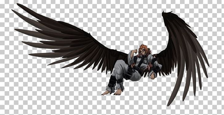 Eagle Vulture Beak Feather PNG, Clipart, Animals, Beak, Bearded Vulture, Bird, Bird Of Prey Free PNG Download