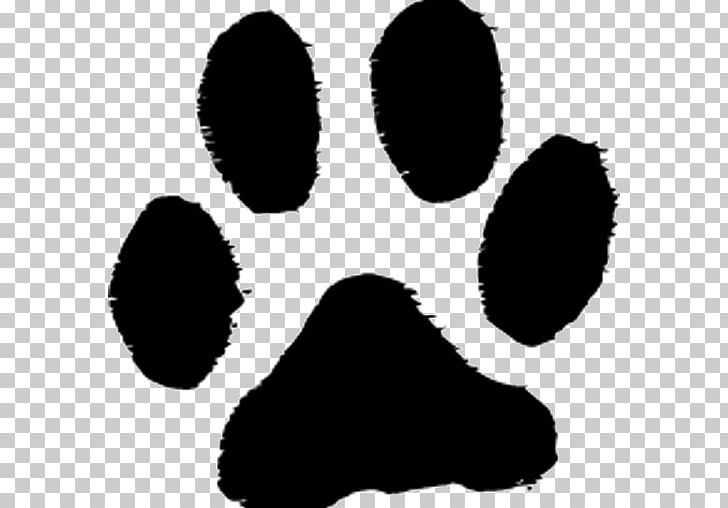 Scottish Terrier Paw Cat Pet Adoption PNG, Clipart, Animals, Black, Black And White, Cat, Dog Free PNG Download