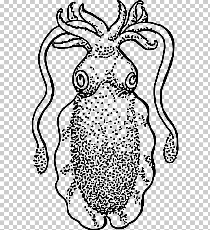 Squid Cuttlefish Drawing PNG, Clipart, Animal, Area, Art, Black, Carnivoran Free PNG Download