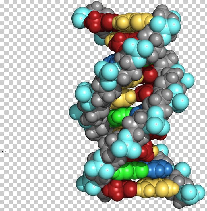 The Double Helix: A Personal Account Of The Discovery Of The Structure Of DNA Molecular Biology Book Writing PNG, Clipart, Art, Bead, Cell, Discovery, Dna Free PNG Download