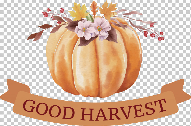 Thanksgiving PNG, Clipart, Good Harvest, Thanksgiving Free PNG Download