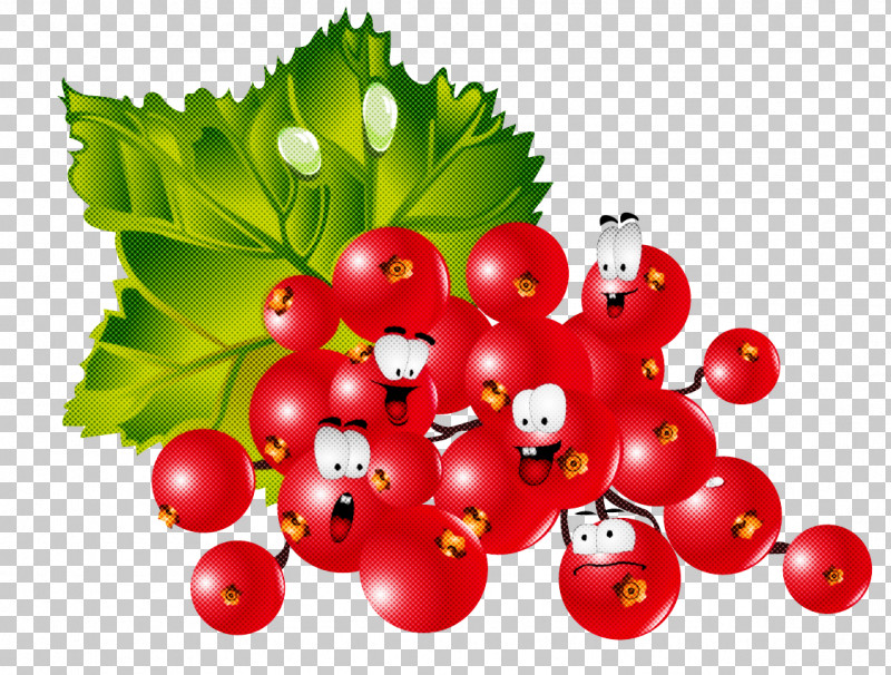 Currant Berry Plant Fruit Natural Foods PNG, Clipart, Berry, Cranberry, Currant, Flower, Fruit Free PNG Download