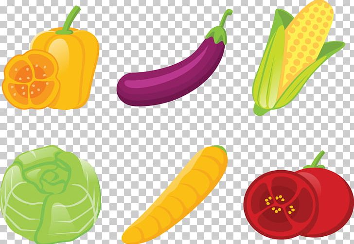 Vegetable Illustration PNG, Clipart, Dish, Download, Euclidean Vector, Food, Food Drinks Free PNG Download