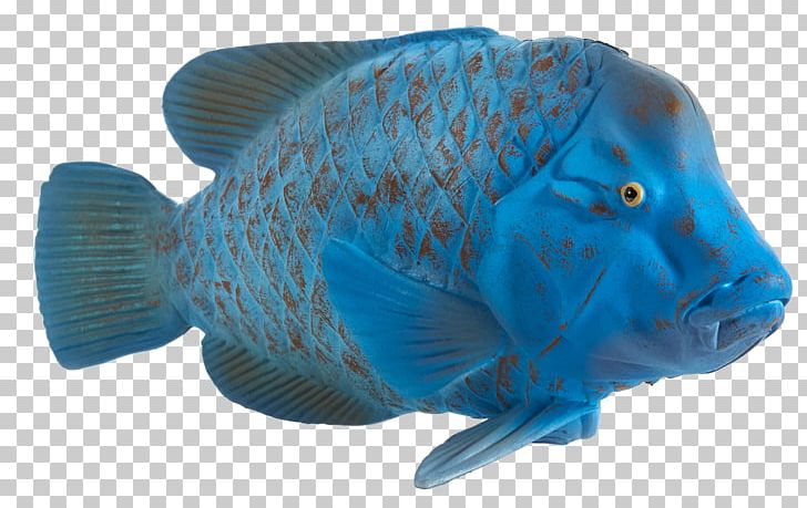 Eastern Blue Groper Grouper Female Fish PNG, Clipart, Blue, Cobalt Blue, Coral Reef, Coral Reef Fish, Deep Sea Fish Free PNG Download