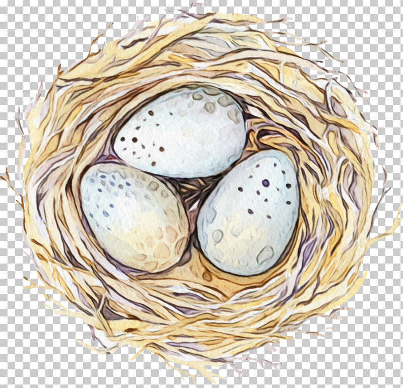 Egg PNG, Clipart, Bird Nest, Egg, Nest, Oval, Paint Free PNG Download