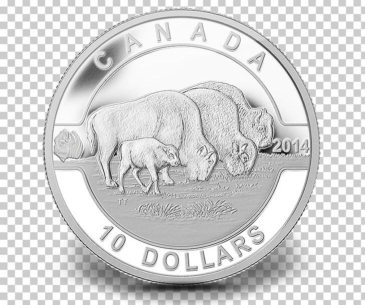 Canada Royal Canadian Mint Silver Coin PNG, Clipart, Black And White, Bullion, Bullion Coin, Canada, Canadian Gold Maple Leaf Free PNG Download