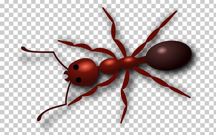 Ant Insect PNG, Clipart, Ant, Arthropod, Computer Icons, Desktop Wallpaper, Display Resolution Free PNG Download
