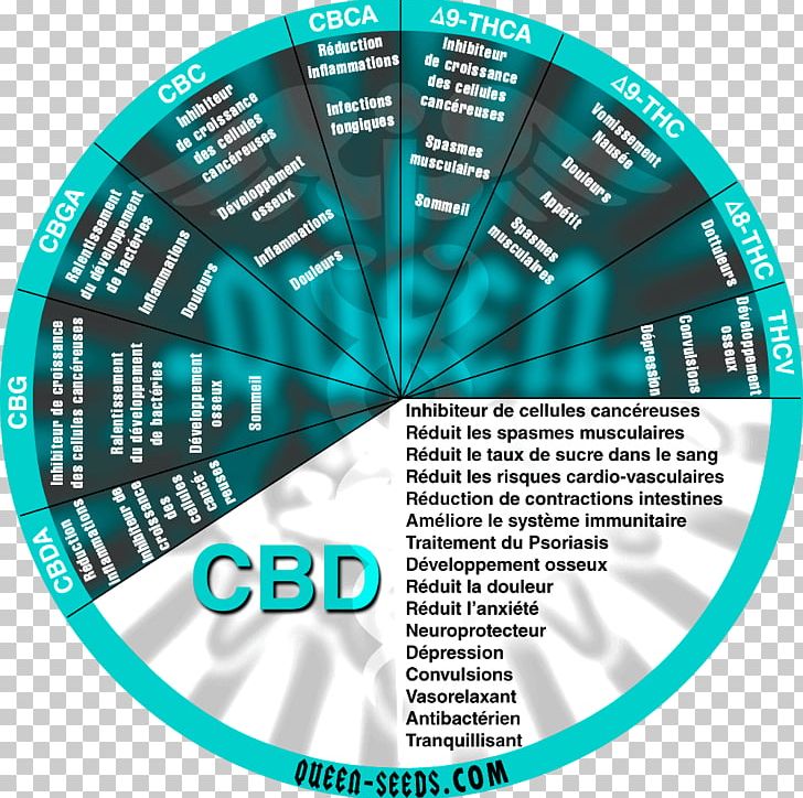 Cannabidiol Psychoactive Drug Tetrahydrocannabinol Therapy Cancer PNG, Clipart, Being, Body, Brand, Cancer, Cannabidiol Free PNG Download
