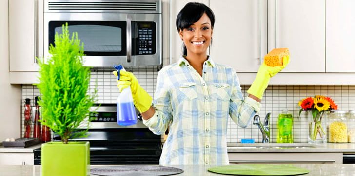 Cleaner Maid Service Cleaning Housekeeping PNG, Clipart, Cleaner, Cleaning, Cook, Cuisine, Domestic Worker Free PNG Download