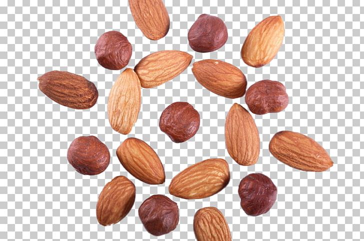 Hazelnut Dried Fruit Almond PNG, Clipart, Almond, Almond Milk, Almond Nut, Almonds, Apricot Kernel Free PNG Download