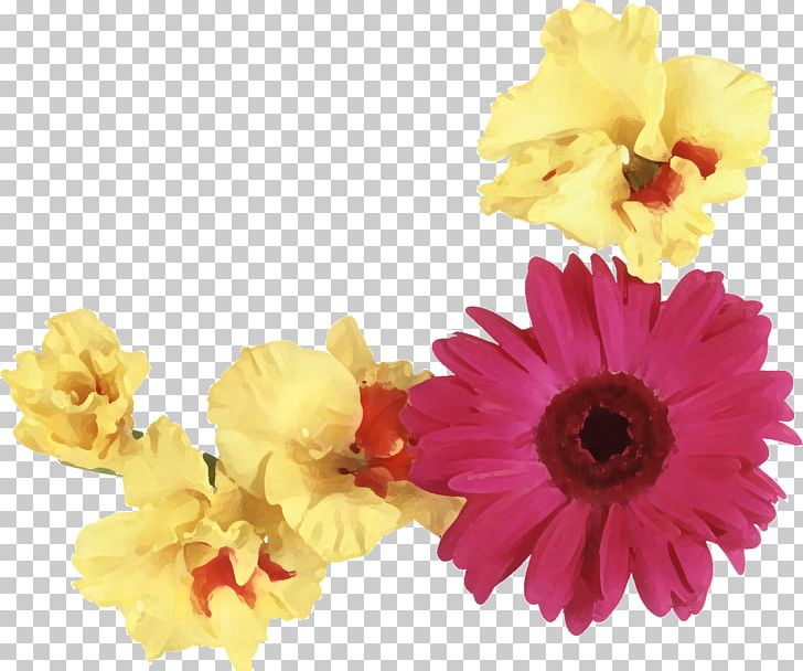Transvaal Daisy Floral Design Flower Bouquet Floristry PNG, Clipart, Chrysanthemum, Cut Flowers, Daisy Family, Floral Design, Flores De Corte Free PNG Download