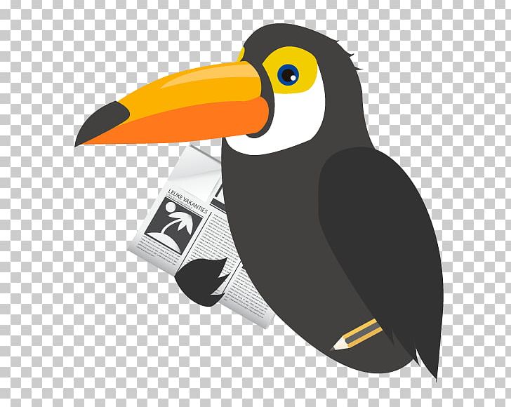 Van Der Valk Hotel St. Aygulf Travel Van Der Valk Hotel St. Aygulf Toucan PNG, Clipart, 4 Star, Beak, Bird, Cheap, Cruise Ship Free PNG Download