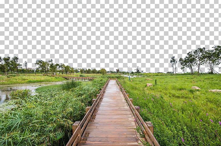 Gallery Road Walkway Wood Plank PNG, Clipart, Architectural Engineering, Background Green, Boardwalk, Deck, Farm Free PNG Download
