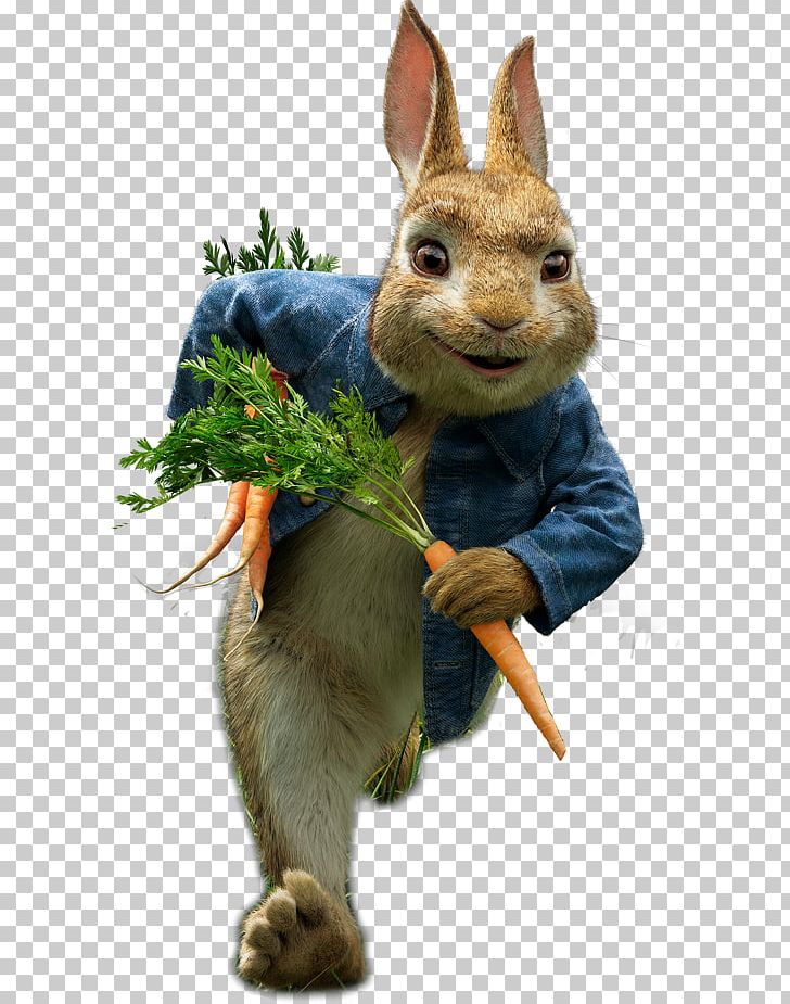 Peter Rabbit Lemurs Film Mrs. Rabbit PNG, Clipart, 720p, 2018, Animated Film, Chipmunk, Domestic Rabbit Free PNG Download