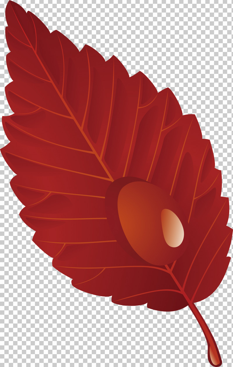 Leaf Red Plant Tree Flower PNG, Clipart, Flower, Leaf, Petal, Plant, Red Free PNG Download