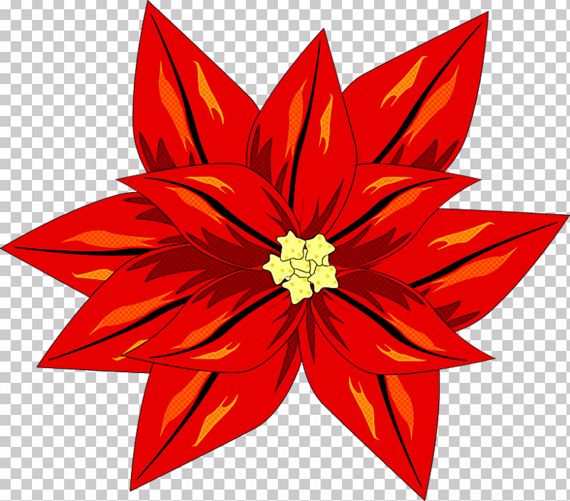 Red Petal Flower Poinsettia Plant PNG, Clipart, Flower, Leaf, Petal, Plant, Poinsettia Free PNG Download