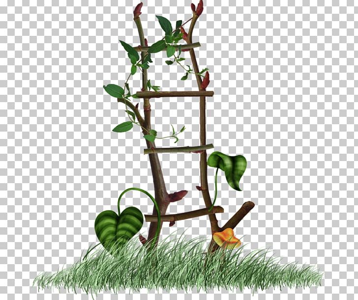Technic Branch Plant Stem PNG, Clipart, Book Ladder, Branch, Cartoon Ladder, Climb, Creative Ladder Free PNG Download