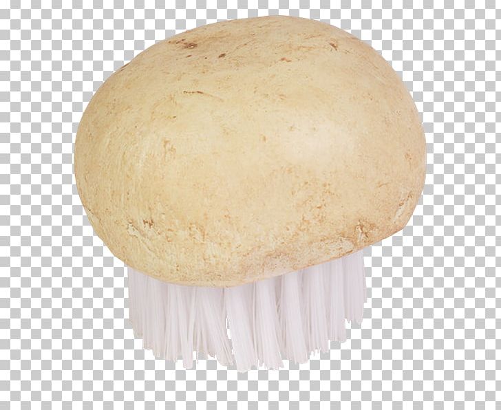 Agaricaceae Medicine Medicinal Fungi Mushroom PNG, Clipart, Agaricaceae, Ingredient, Medicinal Fungi, Medicinal Mushroom, Medicine Free PNG Download