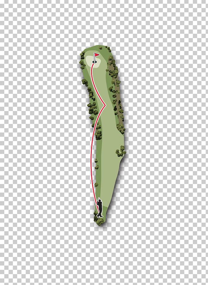 Augusta National Golf Club Masters Tournament Flowering Dogwood PNG, Clipart, Augusta, Augusta National Golf Club, Dogwood, Flowering Dogwood, Grass Free PNG Download