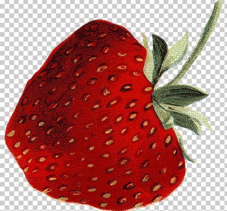 Strawberry PNG, Clipart, Fruit, Fruit Nut, Red, Strawberries, Strawberry Free PNG Download