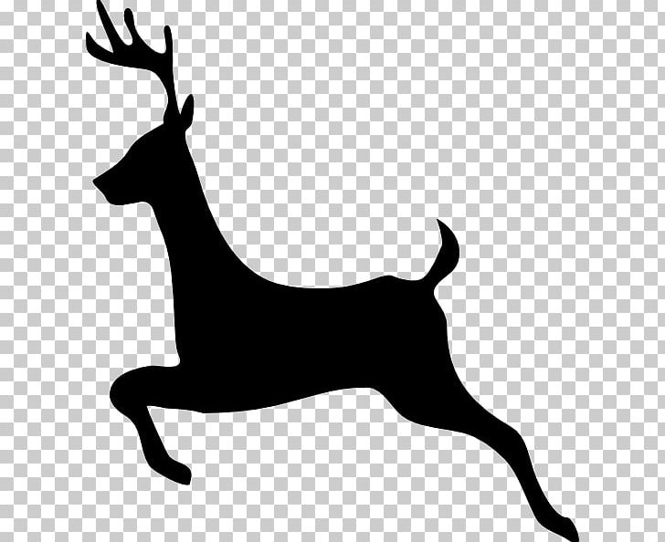 White-tailed Deer Moose Elk PNG, Clipart, Animals, Antler, Black, Black And White, Deer Free PNG Download
