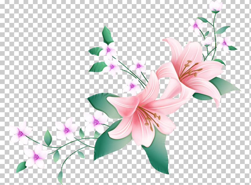 Lily Flower PNG, Clipart, Arumlily, Floral Design, Floral Frame, Flower, Flower Bouquet Free PNG Download