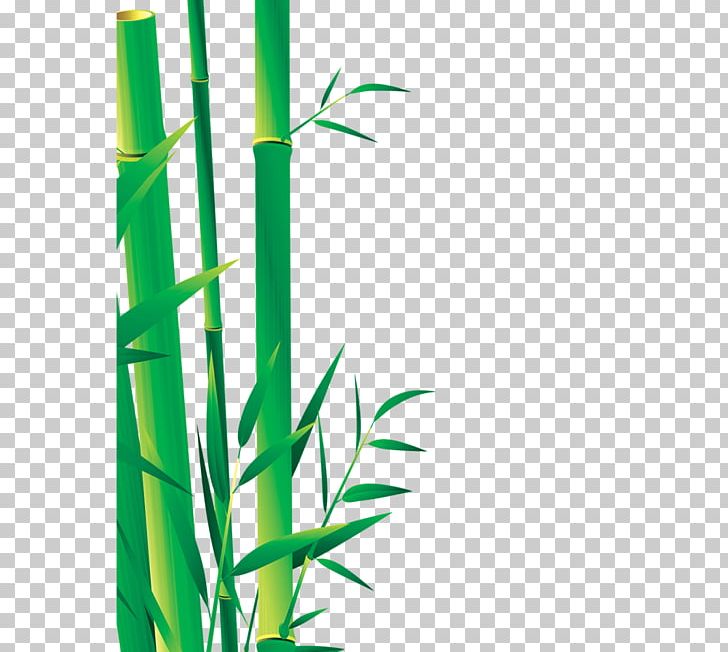Bamboo Bamboe Icon PNG, Clipart, Angle, Bamboe, Bamboo, Bamboo Border, Bamboo Frame Free PNG Download