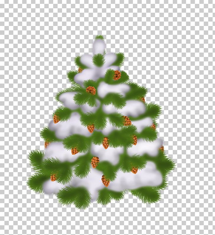 Christmas Tree Christmas Ornament PNG, Clipart, Branch, Christmas, Christmas Decoration, Christmas Frame, Christmas Lights Free PNG Download