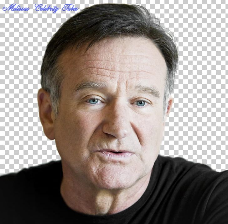 Robin Williams Film Comedian How To Be Single PNG, Clipart, Cheek, Chin, Comedian, Elder, Face Free PNG Download