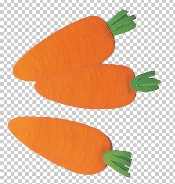 Carrot Vegetable Illustration PNG, Clipart, Aquatica, Cabbage, Carrot, Cauliflower, Chinese Cabbage Free PNG Download