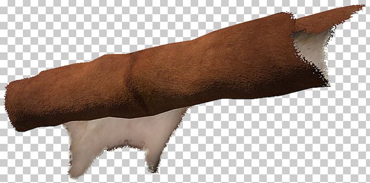 Dog Thumb Fur Snout Claw PNG, Clipart, Animals, Carnivoran, Claw, Dog, Dog Like Mammal Free PNG Download
