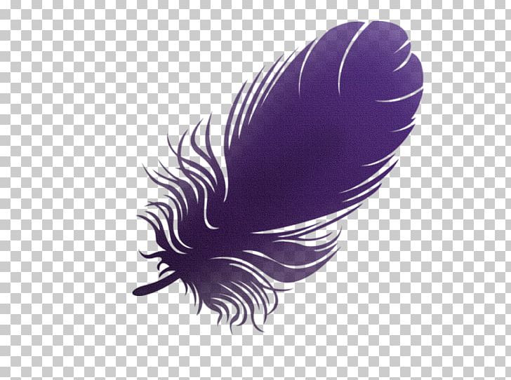 Feather Wing Bird PNG, Clipart, Bird, Clip Art, Dots Per Inch, Download, Feather Free PNG Download