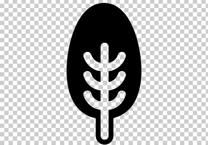 Symmetry Shape Computer Icons Tree PNG, Clipart, Art, Black And White, Circle, Computer Icons, Download Free PNG Download