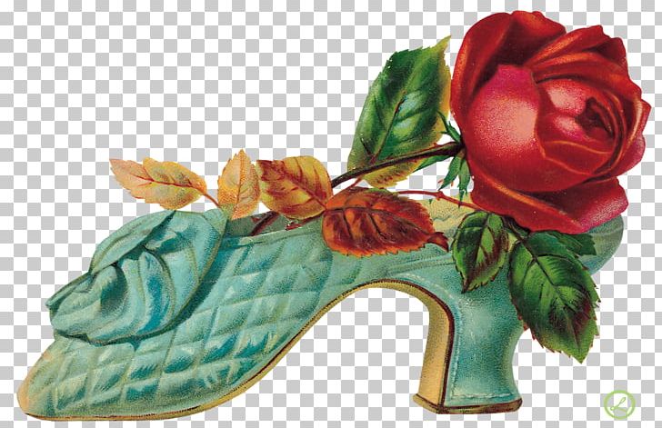 Flower Garden Roses Footwear Floral Design PNG, Clipart, Boot, Cut Flowers, Designer, Floral Design, Floristry Free PNG Download