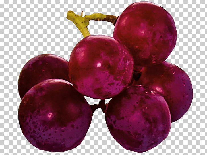Grape Seed Extract Farmers Land Food GmbH Experience PNG, Clipart, Experience, Food, Fruit, Fruit Nut, Grape Free PNG Download